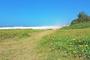 umdloti-beach-kzn (17)