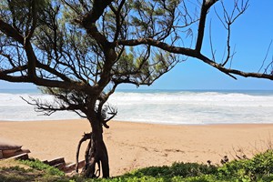 umdloti-beach-kzn (23)