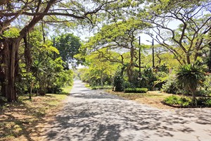 umdloti-beach-kzn (4)