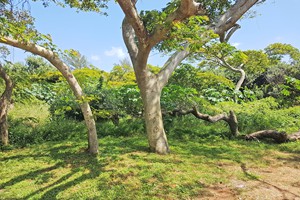 umdloti-beach-kzn (6)